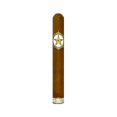StillWell Star Holiday Y2024