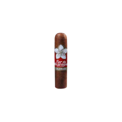 FLOR DE NICARAGUA GORDITO