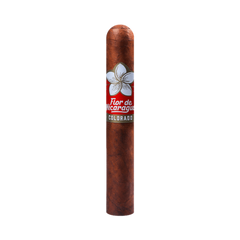 FLOR DE NICARAGUA ROBUSTO