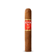 JOYA RED HALF SHORT CHURCHILL