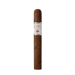 JOYA SILVER TORO