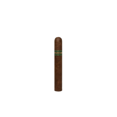 Umbagog Bronzeback