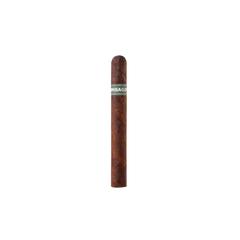 Umbagog Corona Gorda